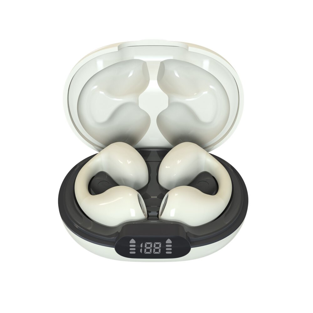 Wireless Bluetooth Earbuds with Charging Case
